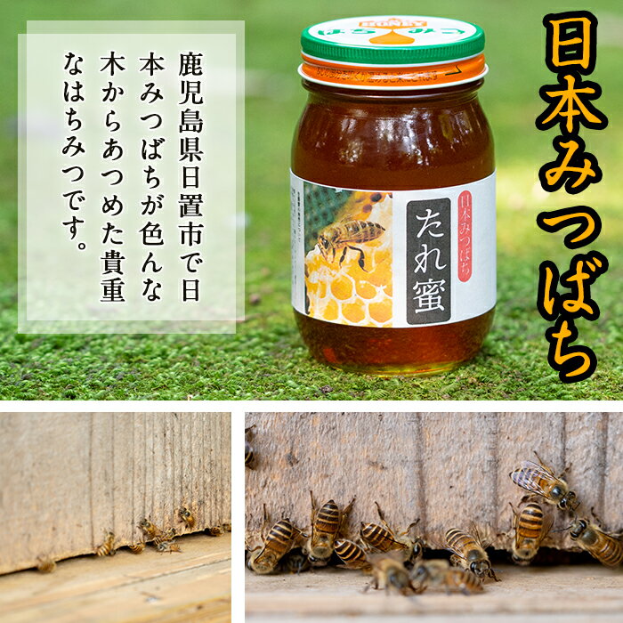 【ふるさと納税】非加熱 日本みつばち808 たれ蜜(600g) 国産 九州産 ハチミツ 蜂蜜 非加熱 【日置南洲窯】 2