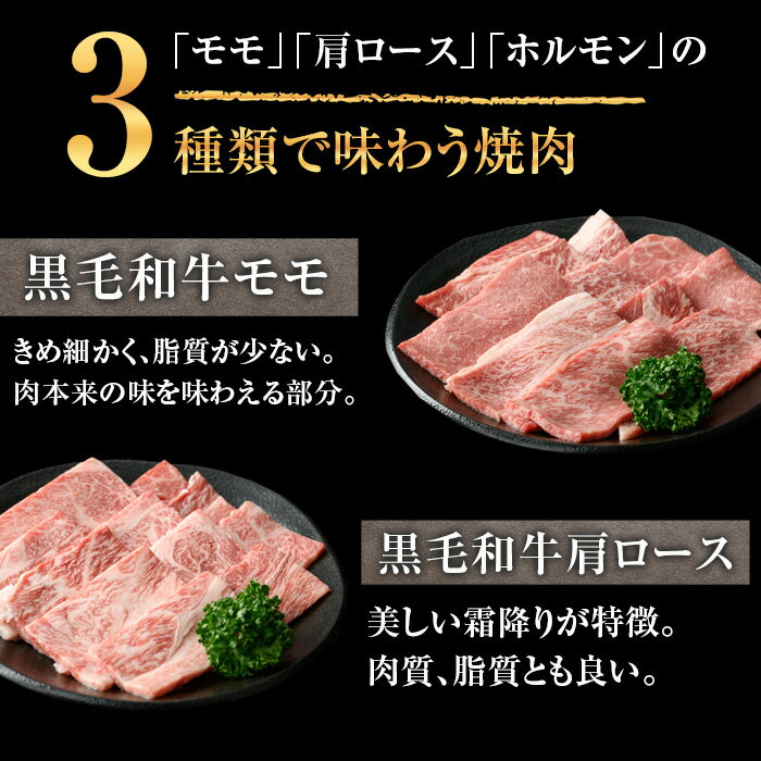 鹿児島県曽於市の画像3