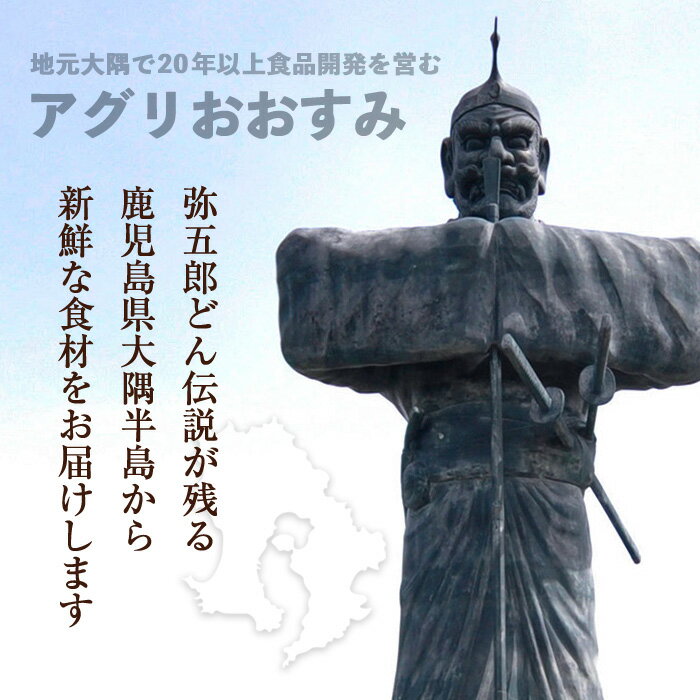 【ふるさと納税】国産 親鳥の炭火焼き (100g×10P・計1kg) 真空パック入り！ 国産 鹿児島 鳥 鶏肉 鶏 モモ ムネ おかず お弁当 おつまみ 真空パック 小分け 冷凍 しぜんのおかショップ 【アグリおおすみ】