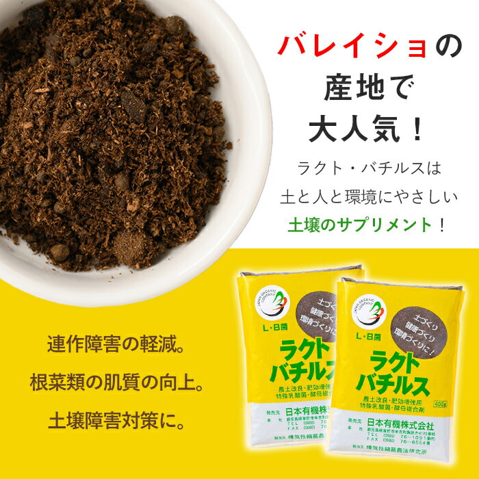 �ڤդ뤵��Ǽ�ǡ��������ھ����ɺޡ֥饯�ȡ��Х��륹��(400g��2��) �� �Ť��� ���� �����ڱ� �ھ����� Ȫ ���� �̼��������ͭ����