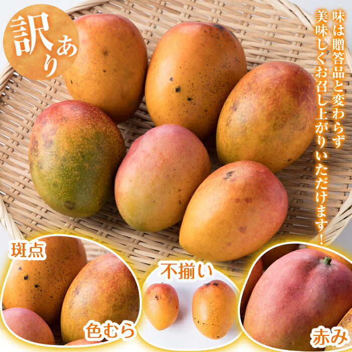 【ふるさと納税】＜先行予約受付中・2026年6月下旬～7月下旬頃に発送予定＞＜訳あり・数量限定＞ 完熟アップルマンゴー「紅」(約900g・850〜950g) マンゴー アップルマンゴー 旬 果物 フルーツ 紅 くだもの 中玉 小玉 1箱 2～4個 家庭用 宮崎県境【大徳産業】