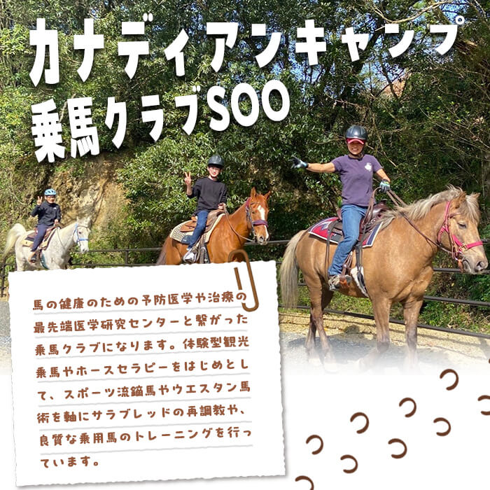 鹿児島県曽於市の画像3