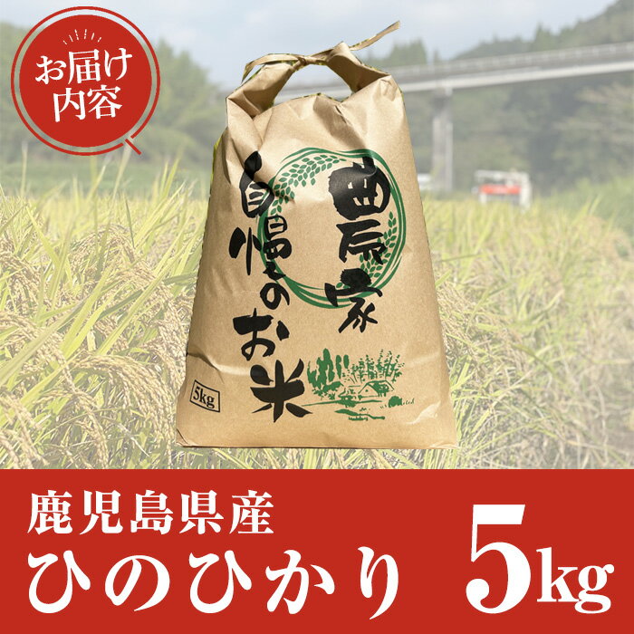 【ふるさと納税】鹿児島県産ひのひかり(5kg) 国産 鹿児島県産 米 お米 白米 ごはん...