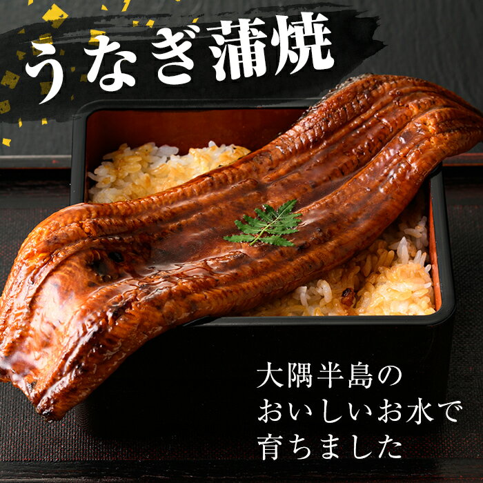 【ふるさと納税】鹿児島県産うなぎ蒲焼Bセット 鰻蒲焼 計600g(約200g×3尾) きざみうなぎ蒲焼 計100g(50g×2個) タレ・山椒付き 鰻 うなぎ ウナギ 蒲焼 きざみ ひつまぶし 鹿児島県産 国産 急速 冷凍【西日本養鰻】