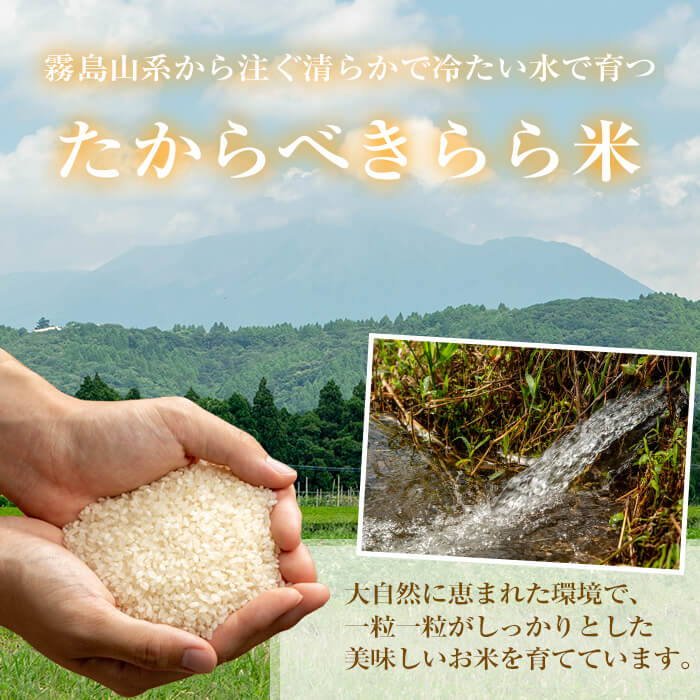 【ふるさと納税】＜選べる内容量！＞たからべきらら米(10kg or 20kg) 国産 鹿児島...