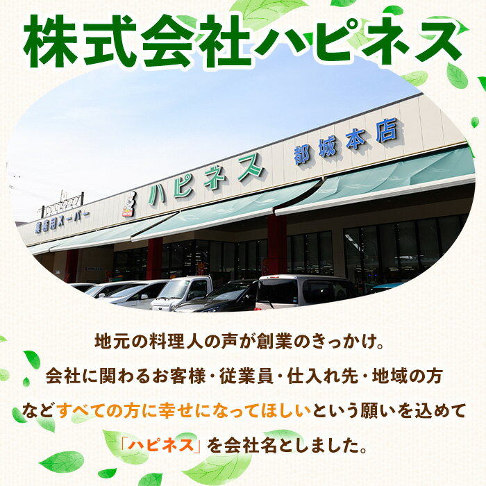 鹿児島県曽於市の画像2