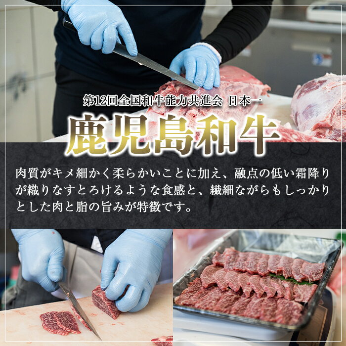 鹿児島県曽於市の画像2