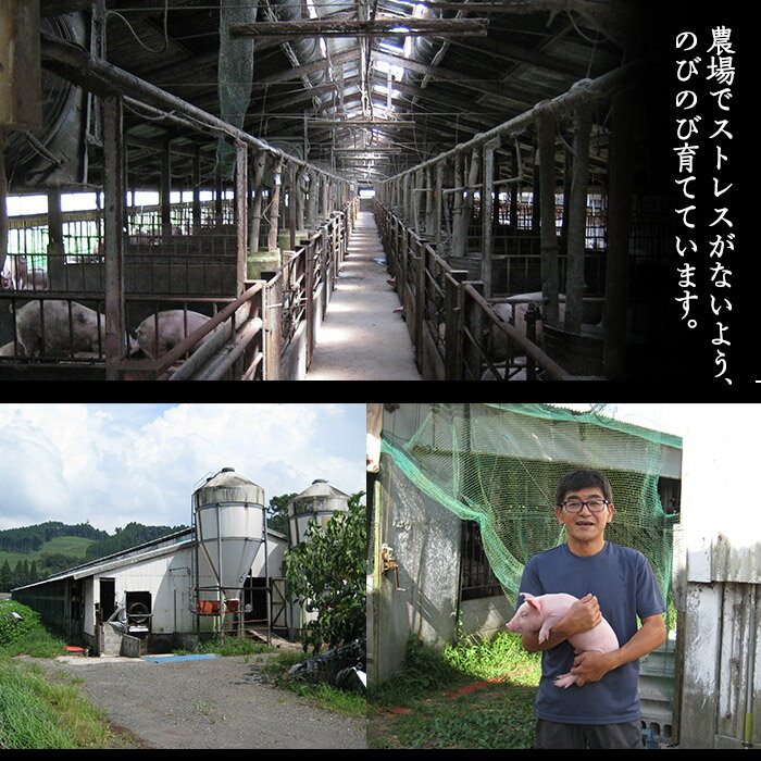 【ふるさと納税】鹿児島県産黒毛和牛 牛バラ肉 切り落とし 1kg(500g×2パック) 牛肉 バラ肉 牛バラ 国産 鹿児島県産 黒毛和牛 切り落とし 牛丼 煮込み 煮物 赤身【Rana】