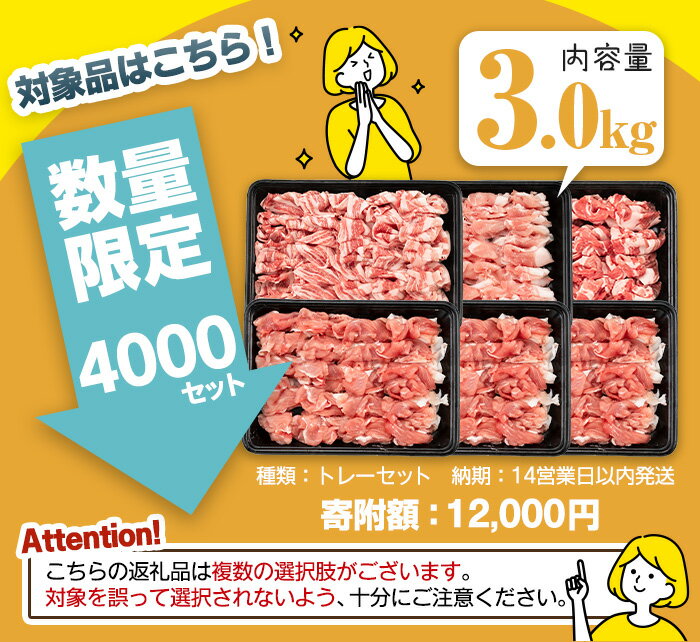 鹿児島県曽於市の画像2