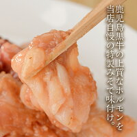 【ふるさと納税】和牛ホルモンミックス自家製味噌漬け400g×2パック計800g【佐多精肉店】