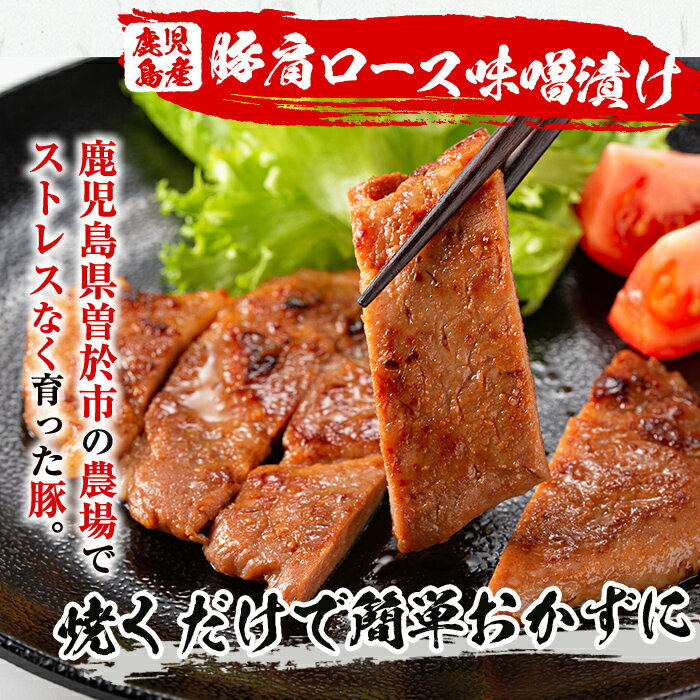 【ふるさと納税】鹿児島県曽於市産豚肉 曽於ポークみそ漬け 計1.3kg(130g×10袋) 豚肉 国産 鹿児島県産 味噌漬け 個包装 小分け 冷凍 みそ漬け 【Rana】