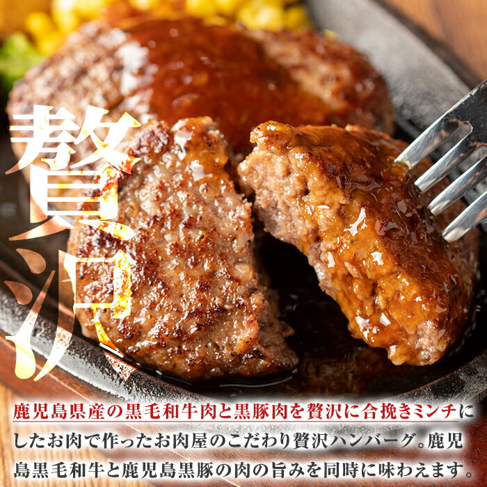 鹿児島県曽於市の画像3