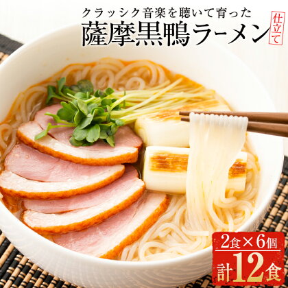 国産！鹿児島県曽於市産の薩摩黒鴨ラーメン(2食入×6個・計12食) ラーメン 麺 さつまいも サツマイモ 黒鴨 鴨肉 低カロリー ヘルシー 国産 常温 常温保存【日本有機】