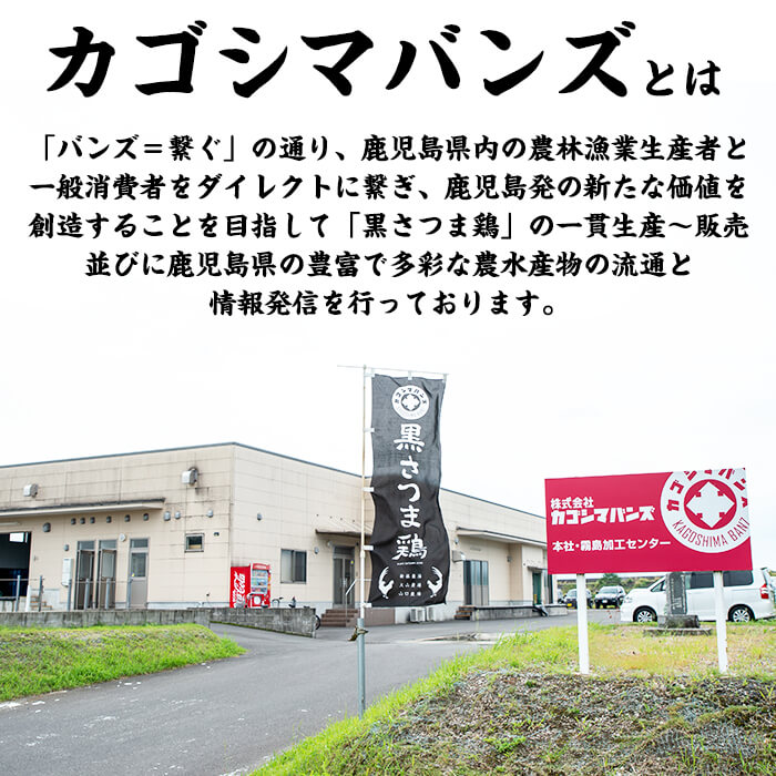 【ふるさと納税】黒さつま鶏しゃぶしゃぶセット(4～5人前)最高級ブランド地鶏肉『黒さつま鶏』の鳥肉(もも肉＆むね肉)スライスとコラーゲンたっぷりの鶏白湯スープは相性抜群【カゴシマバンズ】