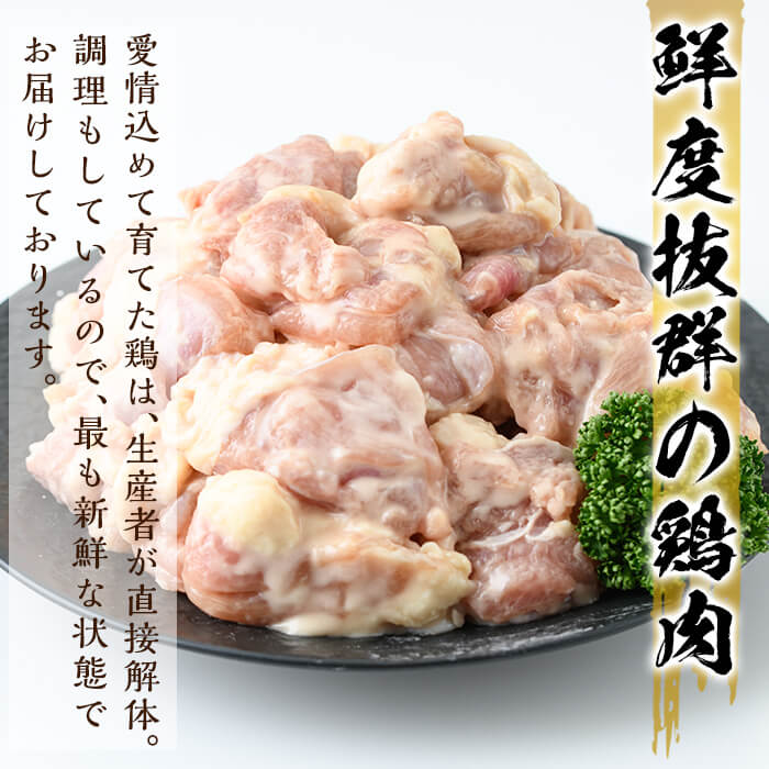鹿児島県霧島市の画像3