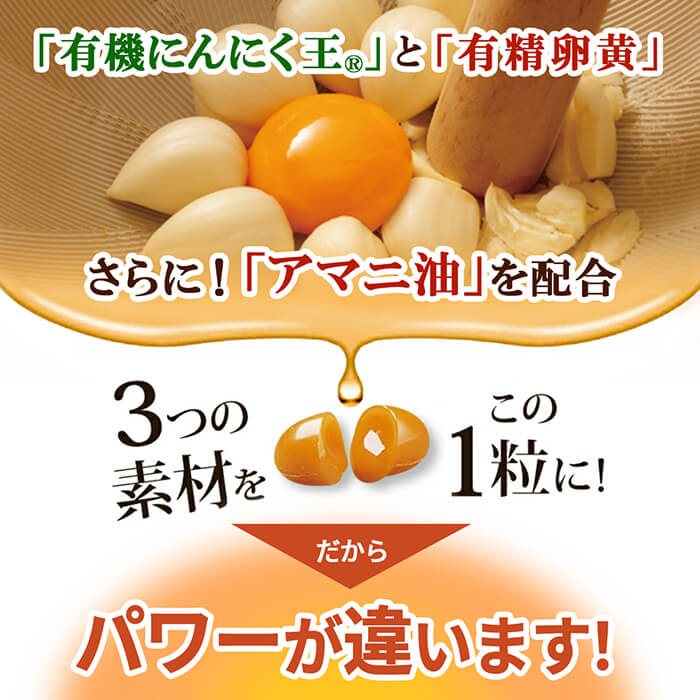 【ふるさと納税】伝統にんにく卵黄＋アマニ・スタンドタイプ(1袋62粒入)有機にんにくと有精卵黄にアマニ油を配合！ニンニク健康食品のサプリメントをお届け【健康家族】