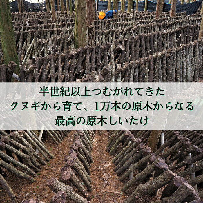 【ふるさと納税】特選！乾燥しいたけ(150g×3袋) 霧島市 国産 野菜 きのこ キノコ 椎茸 しいたけ 乾燥シイタケ 乾椎茸 原木栽培 小分け セット 九州産 【かごジン】