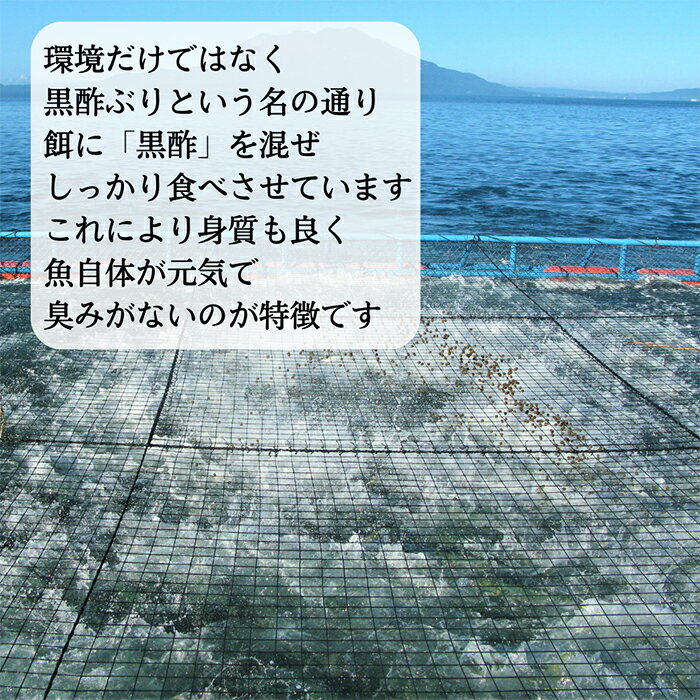 �ڤդ뤵��Ǽ�ǡۤ��Ĥ޹��ݤ֤�(�������ʤ������� ��5kg)̸��� �� �� �� �֥� �֤� �ܿ� ���� �ɿ� ��ʪ ��¢ �ڤ��������