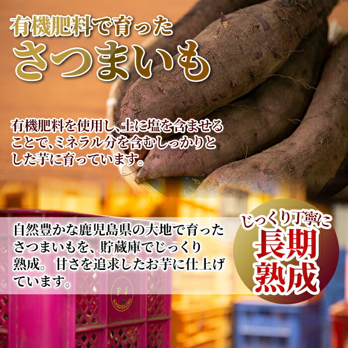 【ふるさと納税】鹿児島県産＜紅はるか＞土付き(10kg)糖度アップした熟成いも【フレッシュジャパン鹿児島】