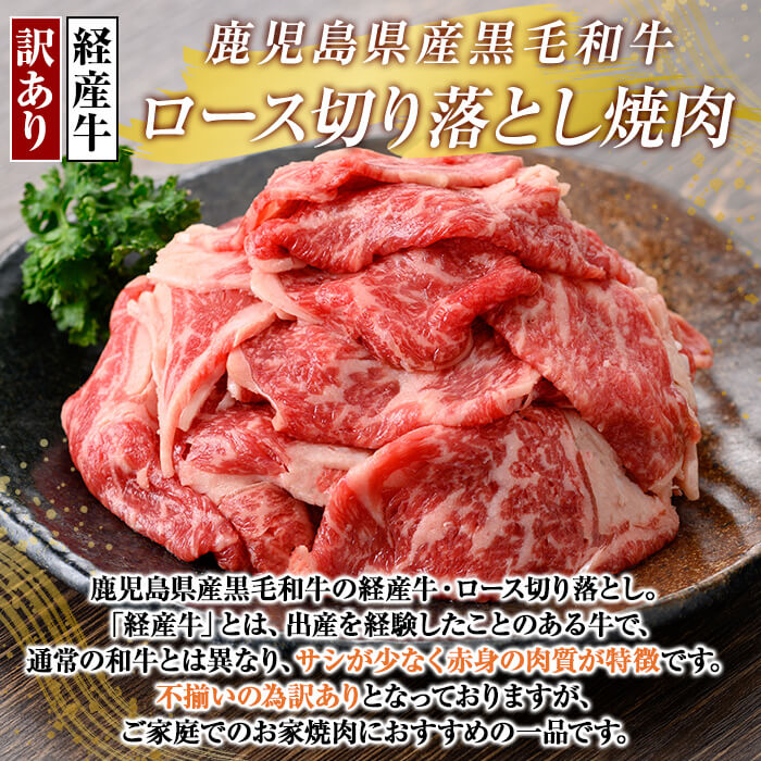 【ふるさと納税】＜訳あり・不揃い＞鹿児島県産黒毛和牛(経産牛)ロース切り落とし焼肉(500g)牛肉 ヤキニク 焼き肉 国産 鹿児島県産 黒毛和牛 肉 精肉 牛 規格外【ビーフ倉薗】