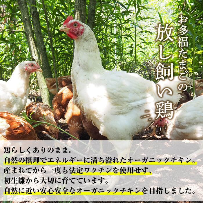 【ふるさと納税】国産！オーガニックチキン1羽セット 未カット (計1.1kg〜1.5kg) 国産 鶏肉 鳥 もも モモ 胸肉 むね ムネ ささみ ササミ オーガニック 有機JAS認定 抗生物質不使用 ワクチン不使用 ワクチンフリー 無投薬飼育 冷凍 小分け【お多福たまご】 f462187-kirishima-10001800 鹿児島県霧島市 サンプル画像2