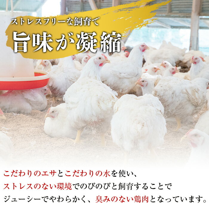 鹿児島県霧島市の画像3