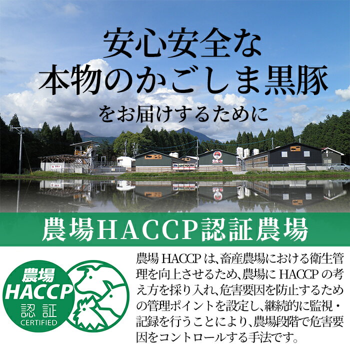 【ふるさと納税】＜定期便：6ヶ月毎月送付＞霧島高原純粋黒豚(1頭分34.5kg)肉 豚肉 豚 精肉 黒豚 ロース バラ肉 しゃぶしゃぶ 鹿児島黒豚 豚肉定期便【霧島高原ロイヤルポーク】