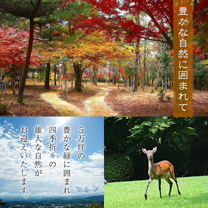 【ふるさと納税】霧島温泉 温泉宿・宿泊券ペアチケット（平日2名様1室、1泊2食付き、要予約）森林浴も楽しめる露天風呂！鹿児島県産の旬の食材を使用した和食会席をお楽しみください【旅行人山荘】 f462187-kirishima-10000082 鹿児島県霧島市 サンプル画像3