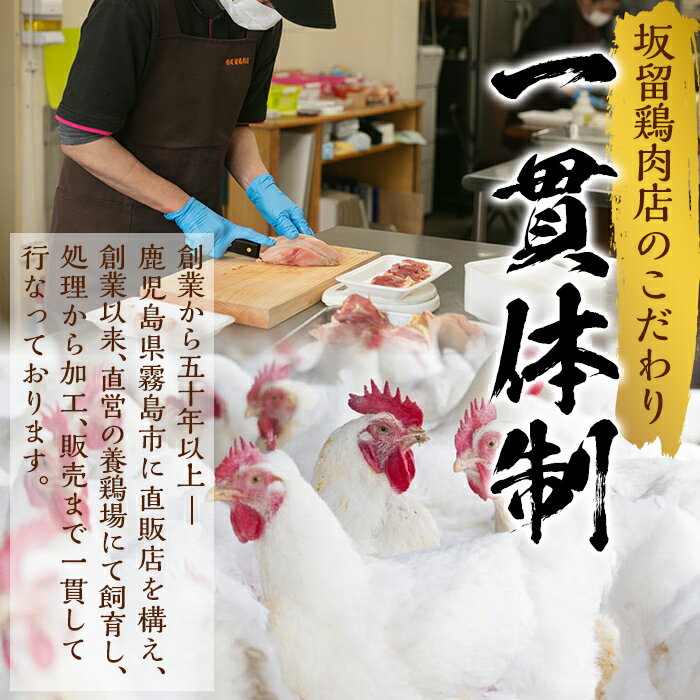 鹿児島県霧島市の画像3