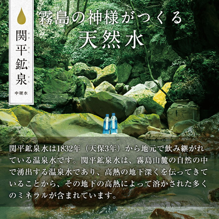 【ふるさと納税】関平鉱泉水・毎月500ml×24本ずつ1年分お届けする定期便♪水 ミネラルウォーター 温泉水 シリカ シリカ水 ミネラル成分 飲料水 天然水【関平鉱泉所】