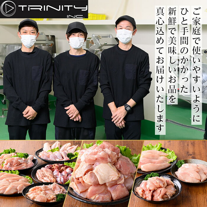 【ふるさと納税】鹿児島県産 豚肉ロースカツ用(合計30枚セット)国産 冷凍 小分け 豚肉 ぶた ブタ 肉 ロースカツ【TRINITY】
