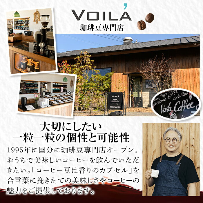 【ふるさと納税】デカフェドリップバッグ100杯(10個×10袋) 霧島市 ふるさと納税 珈琲 ドリップコーヒー 100ドリップ ドリップバッグ【ヴォアラ珈琲】