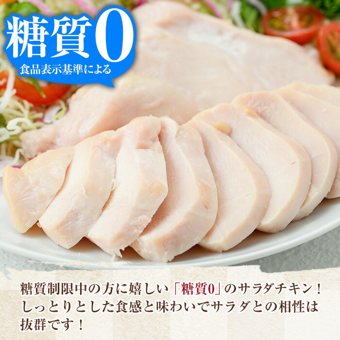 鹿児島県いちき串木野市の画像2