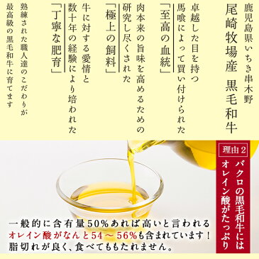 【ふるさと納税】鹿児島県産黒毛和牛100%ミンチ(約350g×2パック・約700g)A4〜A5等級の尾崎牧場産黒毛和牛のすね肉をひき肉(細引き)に！【バクロ】