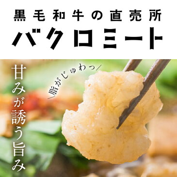 【ふるさと納税】鹿児島県産！黒毛和牛＜醤油＞もつ鍋セット(2〜3人前)「極の醤油」スープ(750g)と黒毛和牛小腸(300g)【バクロ】