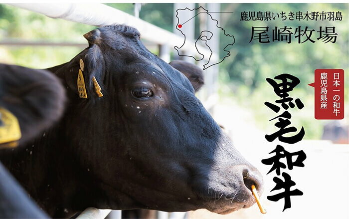 【ふるさと納税】＜鹿児島県産黒毛和牛＞小腸(しょうちょう)ホルモン(700g・もつ鍋、焼肉用)鮮度そのまま！冷凍でお届けします！鍋はもちろんバーベキューや焼き肉に【バクロ】