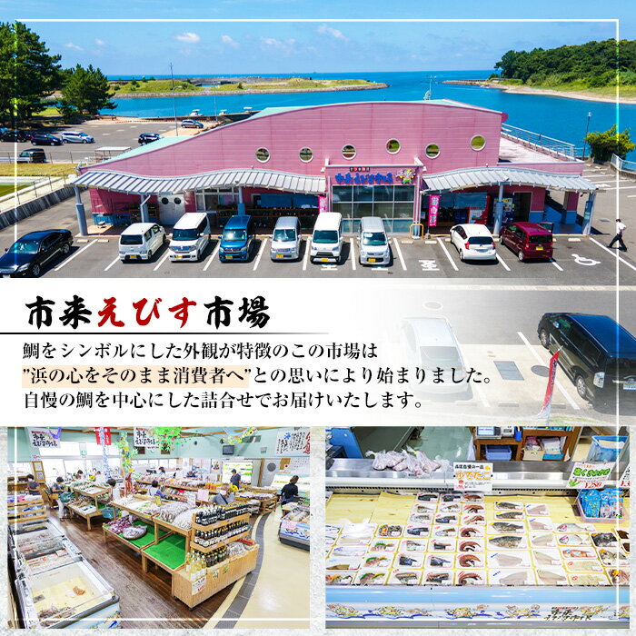 鹿児島県いちき串木野市の画像3