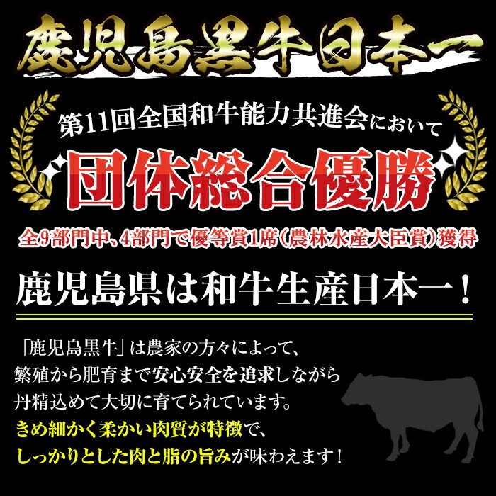 【ふるさと納税】＜肉質等級5等級＞(D-101)鹿児島黒牛すきやきセット(カタローススライス・ウデスライス各300g・合計600g)日本一に輝いた牛肉をご家庭で！【JAさつま日置農業協同組合】