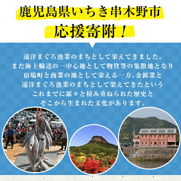 【ふるさと納税】≪返礼品なし≫鹿児島県いちき串木野市への寄附【いちき串木野市】