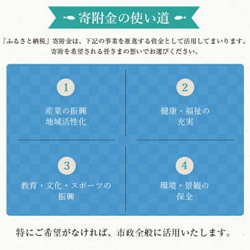 【ふるさと納税】≪返礼品なし≫鹿児島県いちき串木野市への寄附【いちき串木野市】