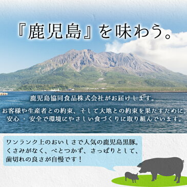 【ふるさと納税】鹿児島県産黒豚使用！鹿児島黒豚惣菜レンジ調理セット！黒豚コロッケ＆黒豚メンチカツ (計36個)【鹿児島協同食品】