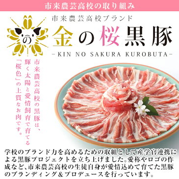 【ふるさと納税】鹿児島県産!金の桜黒豚煮込みハンバーグ(180g×3個)と金の桜黒豚丼(180g×3袋)詰め合わせギフトセット!合計約1kg!【エーエフ】