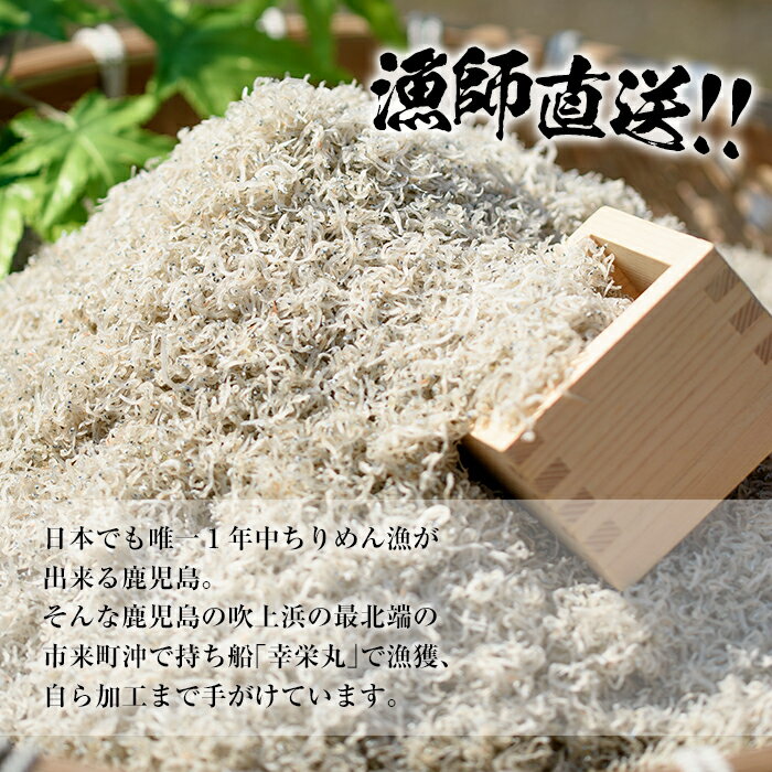 【ふるさと納税】鹿児島県産「網元の天日干しちりめん(計400g・50g×8袋)」！直送 新鮮 鮮度 国産 しらす シラス じゃこ直送 魚 魚介類 さかな 小魚 カルシウム【大久保水産】