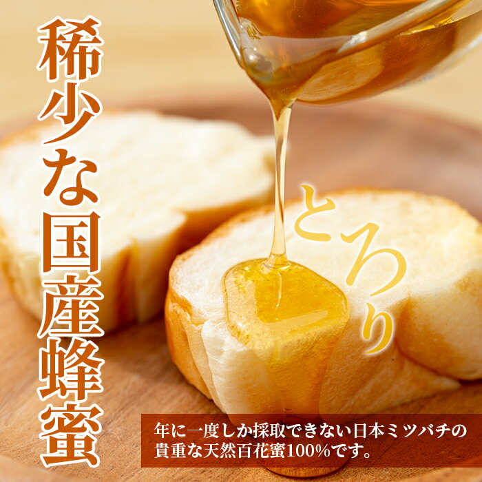 【ふるさと納税】＜数量限定＞国産！日本ミツバチの蜂蜜(600g×1本・計600g)国産はちみつ！ハチミツを合計お届け！贈答品やギフト・贈り物に！【セゾン企画】