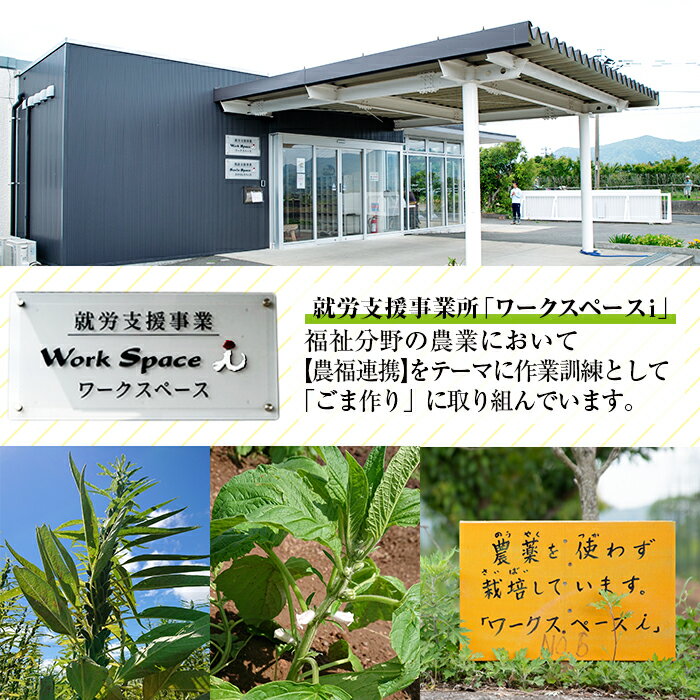 【ふるさと納税】≪数量限定≫希少な国内産！農薬不使用の「くしきの金ごま」(いりゴマ35g×5袋)じっくり焙煎した胡麻でサラダや和え物おにぎりに！【就労継続支援B型ワークスペースi】