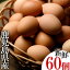 【ふるさと納税】薩摩ヤブサメ酵素卵(60個)本来のたまごの味にこだわったタマゴ！【ヤブサメファーム】