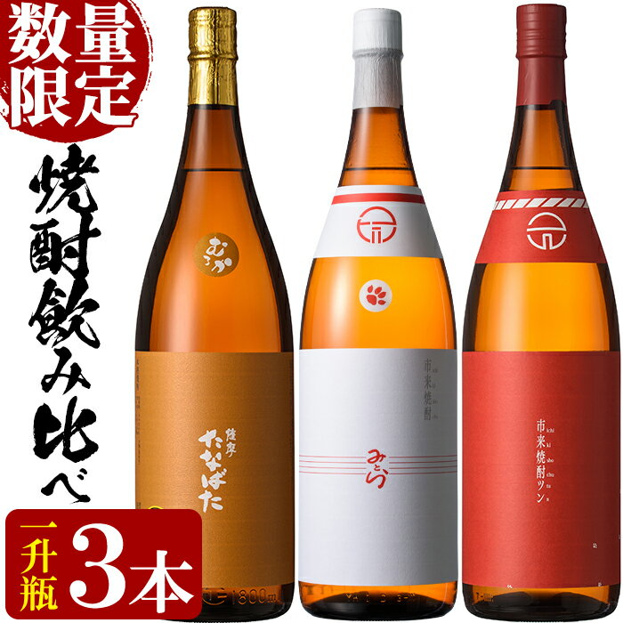 【ふるさと納税】＜数量限定＞特約店限定！みとら・市来焼酎ツン