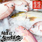 【ふるさと納税】海の幸鮮魚詰合せ【市来えびす市場】