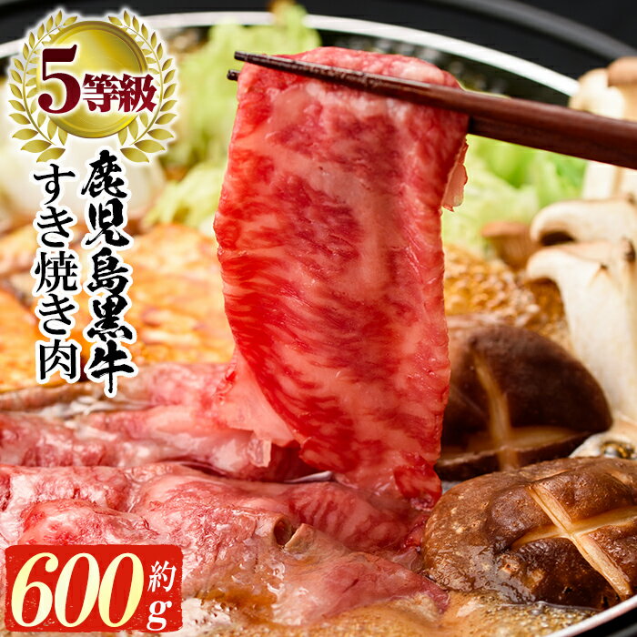 鹿児島黒牛すき焼きセット(5等級)リブロース300g・肩ロース300g(計600g)【JAさつま日置農業協同組合】