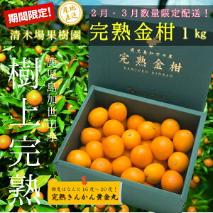 【ふるさと納税】◆先行受付：2023年1月下旬発送開始◆ 鹿児島県 南さつま市産 完熟 金柑 黄金丸 約1kg（3L～4L) 柑橘 きんかん 旬 フルーツ 果物 常温 南さつま市 送料無料